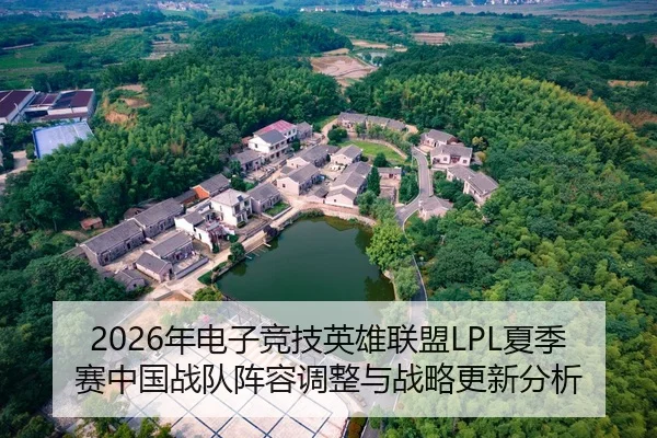 2026年电子竞技英雄联盟LPL夏季赛中国战队阵容调整与战略更新分析
